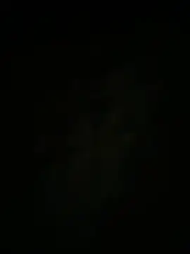 auds08 webcam
