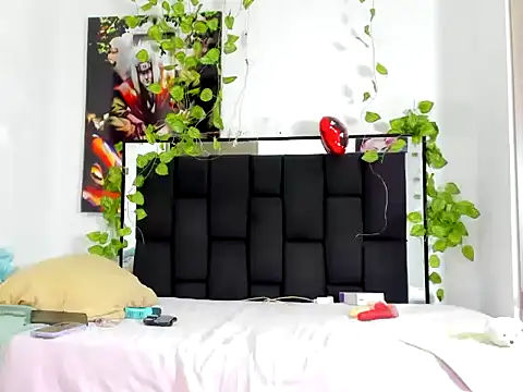 samy-little webcam