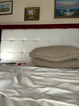 Anal_Top webcam
