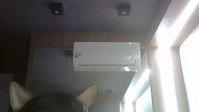 SkinnyKitten webcam