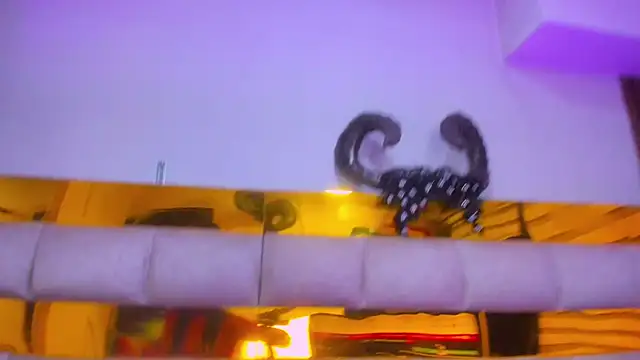 bigass_monic live sex cam