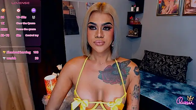 StellaStrong30 webcam