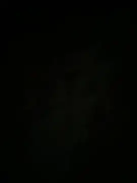 auds08 live cam on StripChat