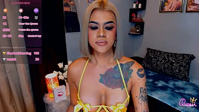 StellaStrong30 webcam