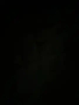 auds08 webcam