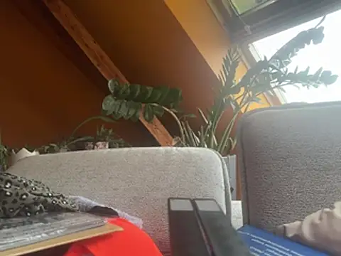 Chris_LE91 webcam