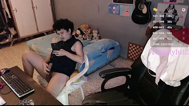 Danelyhit webcam