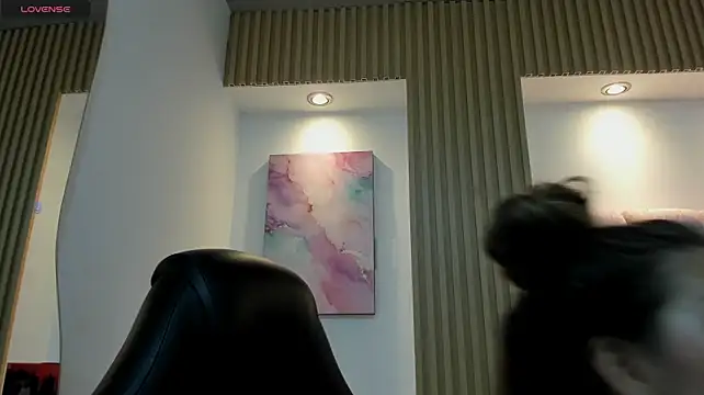 1Sloppy_Fox4 webcam