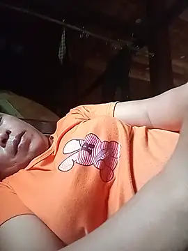 Ip34 webcam