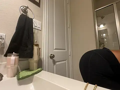 wynterheat webcam