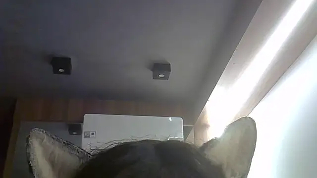 SkinnyKitten webcam