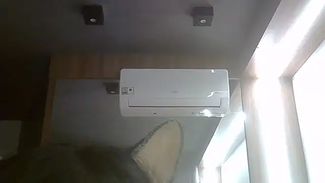 SkinnyKitten webcam