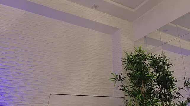 TemptingBella live cam on StripChat