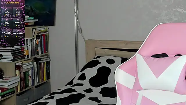 bbJ_one webcam