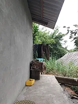 zhen-zo webcam