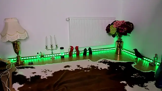 ViciousSiren webcam