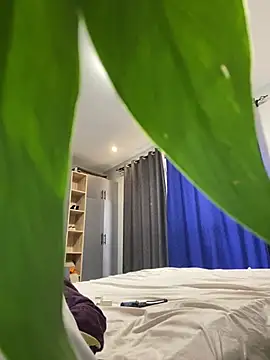 Sis27 webcam