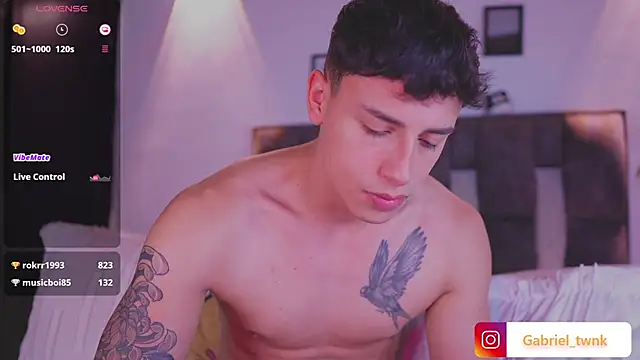I_Gabriel webcam