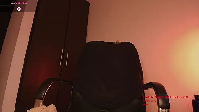 BjornSteel webcam