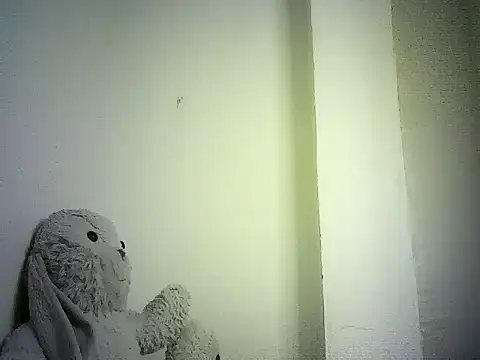 DelteAfriq webcam