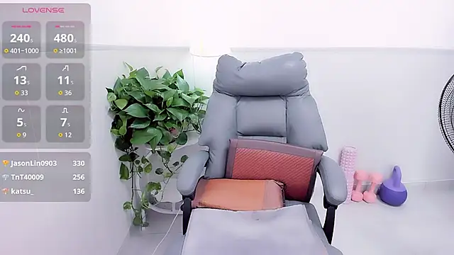 Wan-Yun-520 webcam