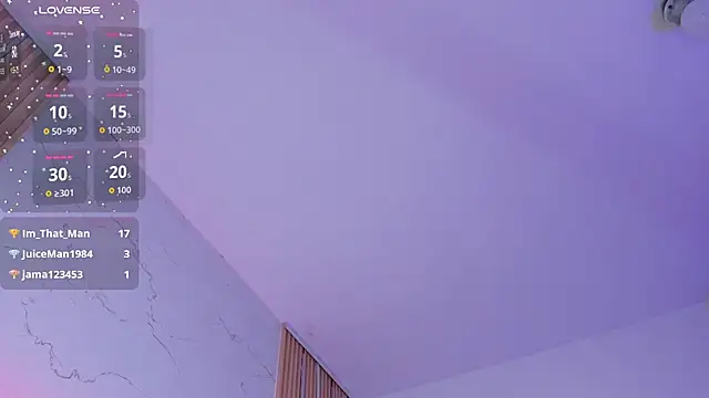 _Cherry_fox webcam
