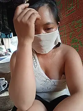 Hiha-nn webcam
