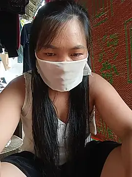 Hiha-nn webcam
