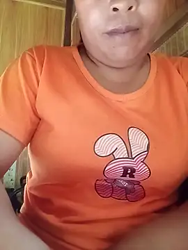 Ip34 webcam