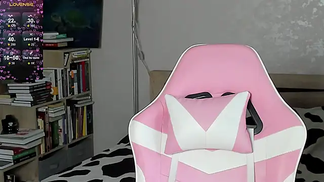 bbJ_one webcam