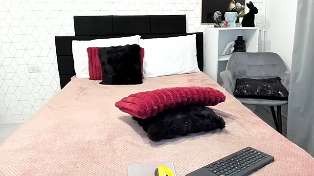 Heidix webcam