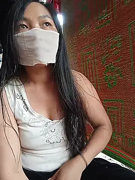 Hiha-nn webcam