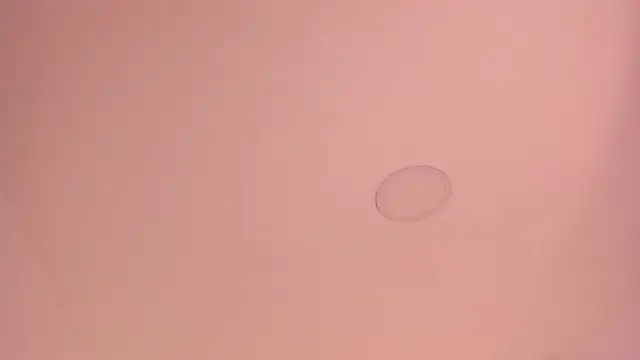Sam_peach webcam