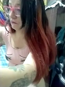 _Alaskamisa webcam