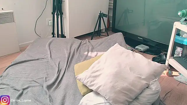 CeriseLapine webcam