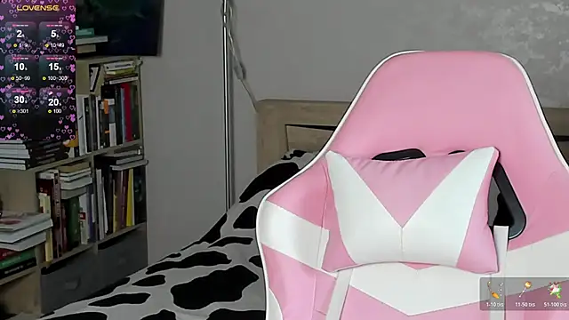 bbJ_one webcam