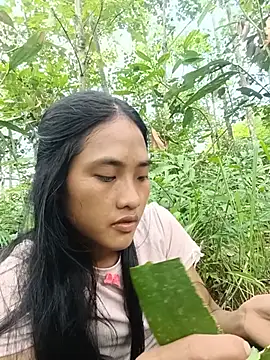 hoa-tuylip