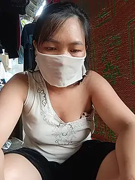 Hiha-nn webcam