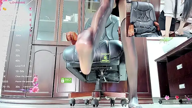 Kaixin520 webcam