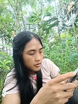 Hoa-tuylip webcam
