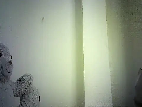DelteAfriq webcam