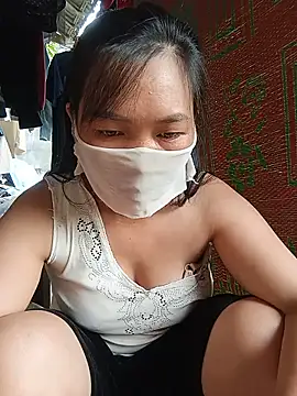 Hiha-nn webcam