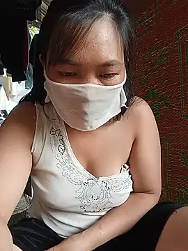 Hiha-nn webcam