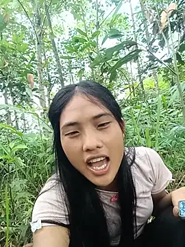 Hoa-tuylip webcam
