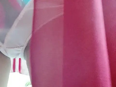 coco-LL webcam