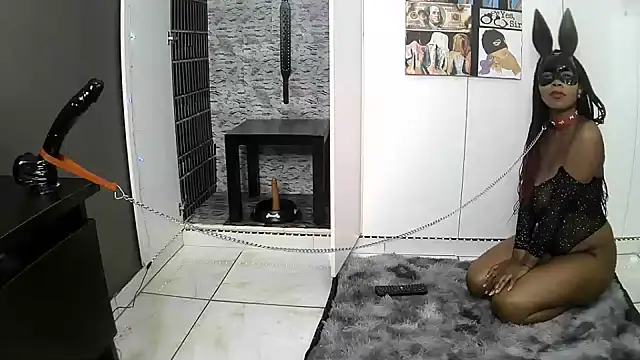 BaDSubMiss webcam