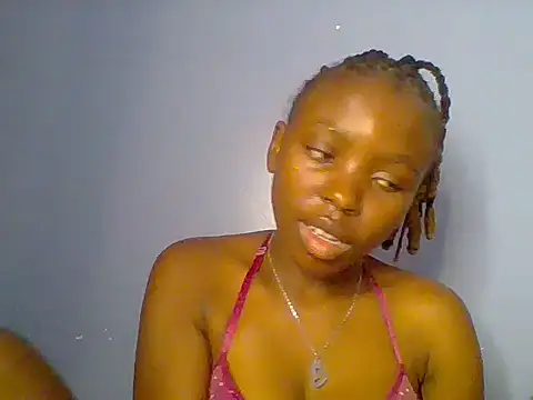 Chocolate-brownie webcam