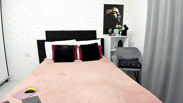 Heidix webcam