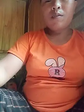 Ip34 webcam