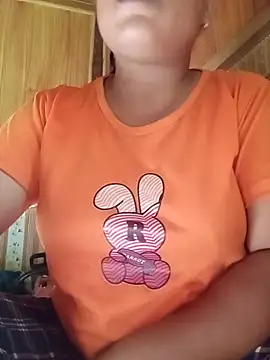 Ip34 webcam